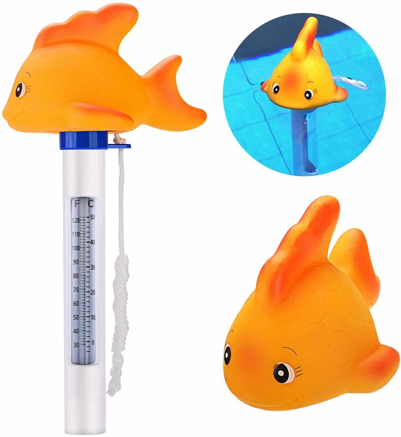THERMOMETER20 20Fish201